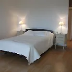 Camélia rouge